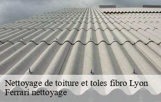 Nettoyage de toiture et toles fibro  lyon-69000 Ferrari nettoyage