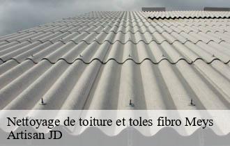 Nettoyage de toiture et toles fibro meys-69610 Artisan JD