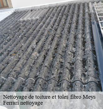 Nettoyage de toiture et toles fibro  meys-69610 Ferrari nettoyage