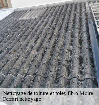 Nettoyage de toiture et toles fibro  moire-69620 Ferrari nettoyage