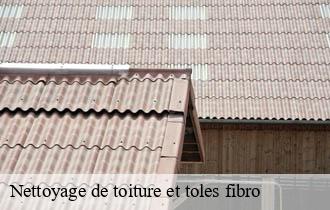 Nettoyage de toiture et toles fibro  montrottier-69770 Ferrari nettoyage