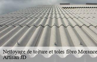 Nettoyage de toiture et toles fibro morance-69480 Artisan JD