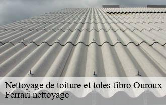 Nettoyage de toiture et toles fibro  ouroux-69860 Ferrari nettoyage