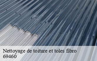 Nettoyage de toiture et toles fibro le-perreon-69460 Artisan JD