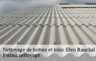 Nettoyage de toiture et toles fibro  ranchal-69470 Ferrari nettoyage