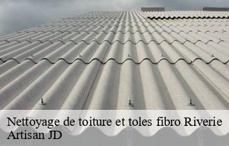Nettoyage de toiture et toles fibro riverie-69440 Artisan JD