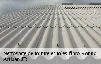 Nettoyage de toiture et toles fibro ronno-69550 Artisan JD