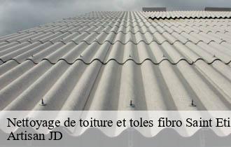 Nettoyage de toiture et toles fibro saint-etienne-des-oullieres-69460 Artisan JD