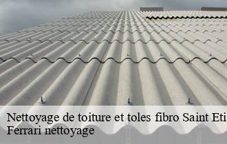 Nettoyage de toiture et toles fibro  saint-etienne-la-varenne-69460 Ferrari nettoyage