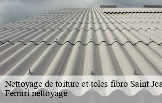 Nettoyage de toiture et toles fibro  saint-jean-la-bussiere-69550 Ferrari nettoyage