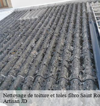 Nettoyage de toiture et toles fibro saint-romain-au-mont-d-or-69270 Artisan JD