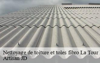 Nettoyage de toiture et toles fibro la-tour-de-salvagny-69890 Artisan JD