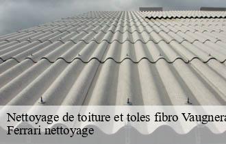 Nettoyage de toiture et toles fibro  vaugneray-69670 Ferrari nettoyage