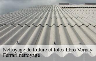 Nettoyage de toiture et toles fibro  vernay-69430 Ferrari nettoyage