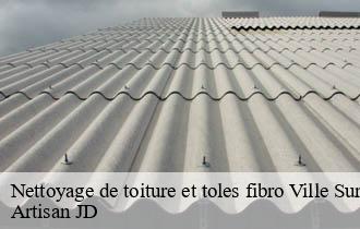 Nettoyage de toiture et toles fibro ville-sur-jarnioux-69640 Artisan JD