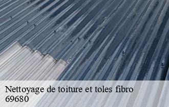 Nettoyage de toiture et toles fibro chassieu-69680 Artisan JD