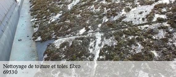 Nettoyage de toiture et toles fibro jons-69330 Artisan JD