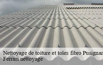 Nettoyage de toiture et toles fibro  pusignan-69330 Ferrari nettoyage