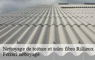 Nettoyage de toiture et toles fibro  rillieux-la-pape-69140 Ferrari nettoyage