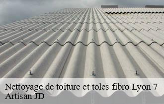 Nettoyage de toiture et toles fibro lyon-7-69007 Artisan JD