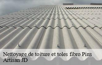 Nettoyage de toiture et toles fibro pins-69440 Artisan JD