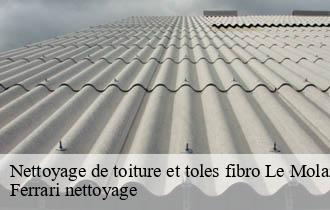 Nettoyage de toiture et toles fibro  le-molard-69150 Ferrari nettoyage