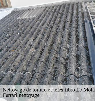 Nettoyage de toiture et toles fibro  le-molard-69430 Ferrari nettoyage