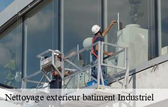 Nettoyage exterieur batiment Industriel   lucenay-69480 Ferrari nettoyage