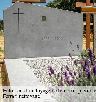 Entretien et nettoyage de tombe et pierre tombale  blace-69460 Ferrari nettoyage