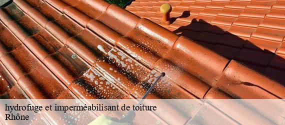hydrofuge et imperméabilisant de toiture  69 Rhône  Ferrari nettoyage