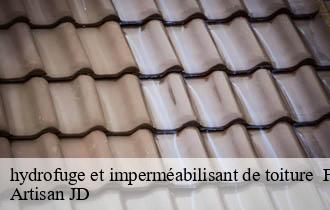 hydrofuge et imperméabilisant de toiture fleurie-69820 Artisan JD