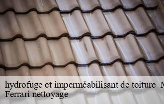 hydrofuge et imperméabilisant de toiture   millery-69390 Ferrari nettoyage