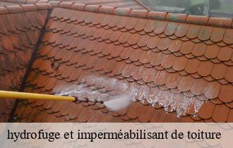 hydrofuge et imperméabilisant de toiture   monsols-69860 Ferrari nettoyage