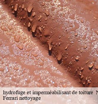 hydrofuge et imperméabilisant de toiture   neuville-sur-saone-69250 Ferrari nettoyage