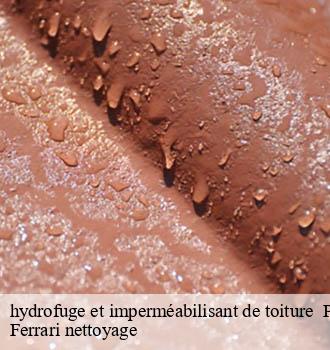 hydrofuge et imperméabilisant de toiture   pollionnay-69290 Ferrari nettoyage