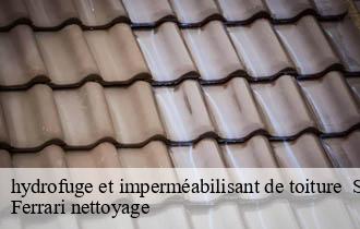 hydrofuge et imperméabilisant de toiture   saint-bonnet-des-bruyeres-69790 Ferrari nettoyage