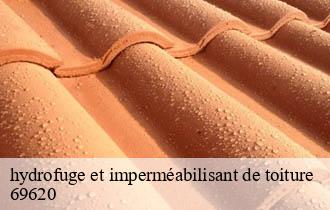 hydrofuge et imperméabilisant de toiture   sainte-paule-69620 Ferrari nettoyage