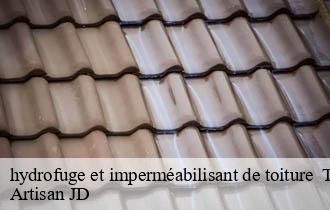 hydrofuge et imperméabilisant de toiture tarare-69170 Artisan JD