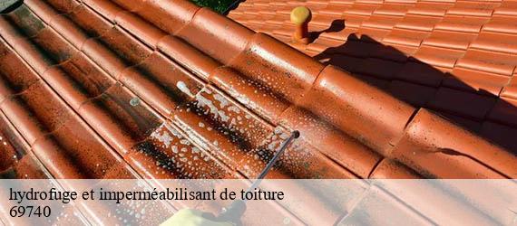 hydrofuge et imperméabilisant de toiture   genas-69740 Ferrari nettoyage