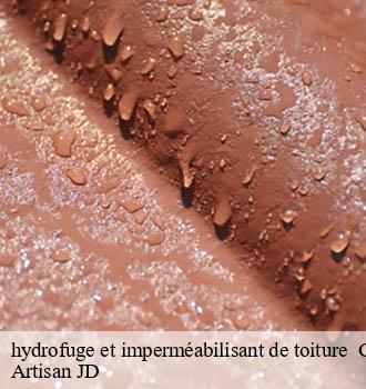 hydrofuge et imperméabilisant de toiture glay-69850 Artisan JD